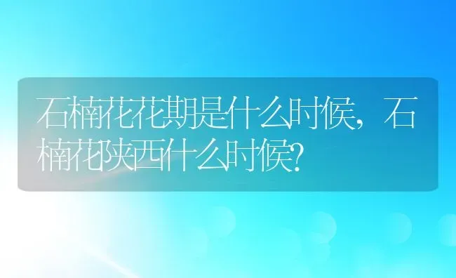 石楠花花期是什么时候,石楠花陕西什么时候？ | 养殖科普