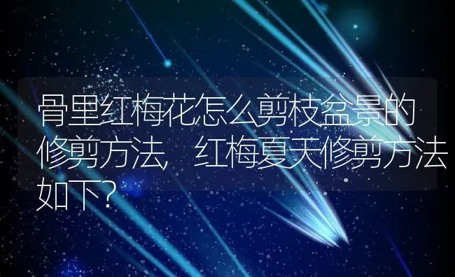 骨里红梅花怎么剪枝盆景的修剪方法,红梅夏天修剪方法如下？ | 养殖科普