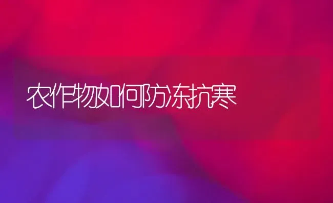农作物如何防冻抗寒 | 养殖知识