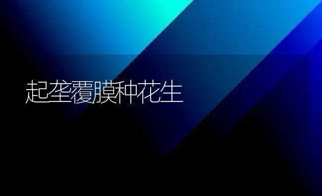 起垄覆膜种花生 | 养殖知识