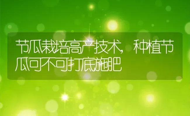 节瓜栽培高产技术,种植节瓜可不可打底施肥 | 养殖学堂