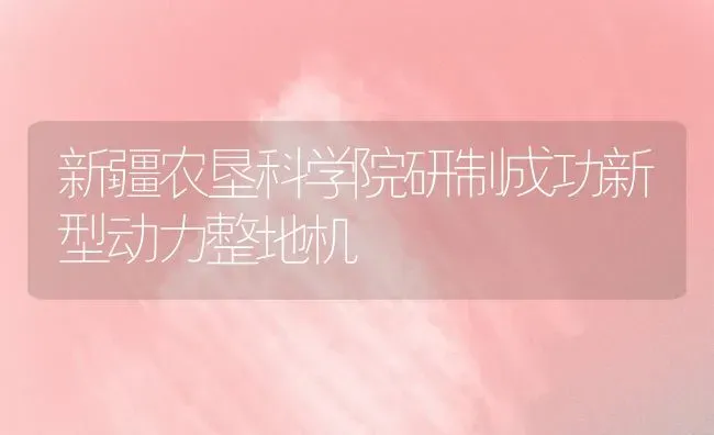 新疆农垦科学院研制成功新型动力整地机 | 养殖技术大全