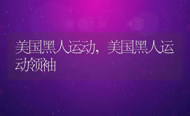 美国黑人运动,美国黑人运动领袖 | 养殖科普