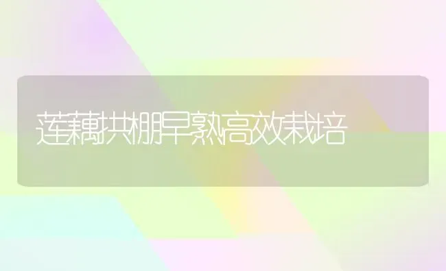 莲藕拱棚早熟高效栽培 | 养殖知识