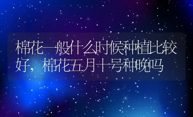 核果类水果有哪些,西瓜、樱桃、香蕉、丝瓜、猕猴桃是水果吗 | 养殖学堂