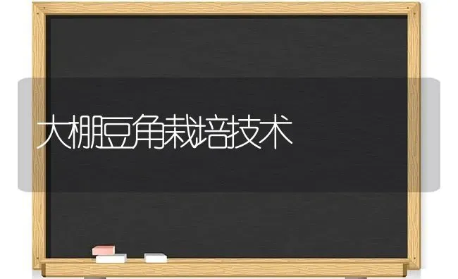 大棚豆角栽培技术 | 养殖知识