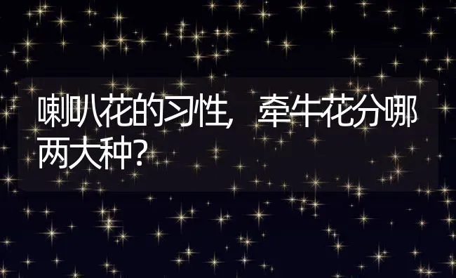 喇叭花的习性,牵牛花分哪两大种？ | 养殖科普