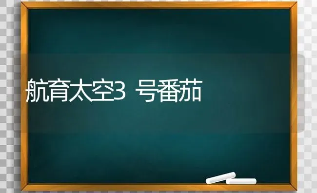 航育太空3号番茄 | 养殖技术大全