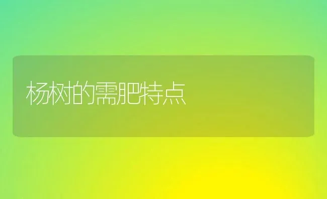 杨树的需肥特点 | 养殖知识