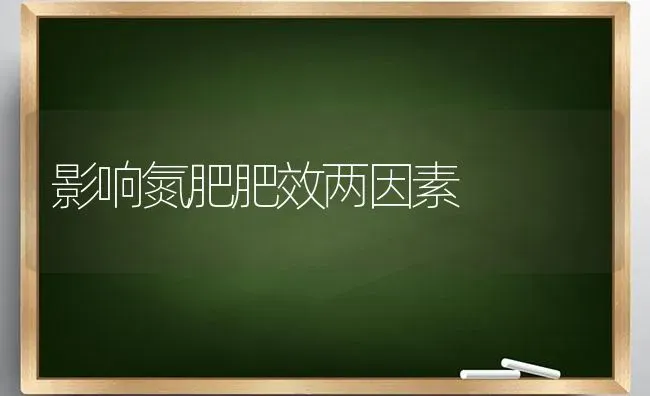 影响氮肥肥效两因素 | 养殖知识