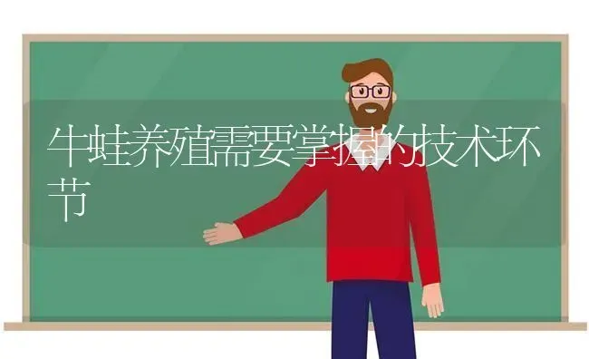 牛蛙养殖需要掌握的技术环节 | 养殖技术大全