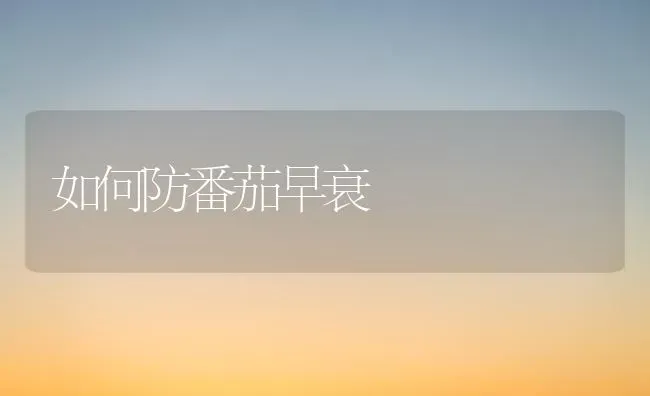 如何防番茄早衰 | 养殖技术大全