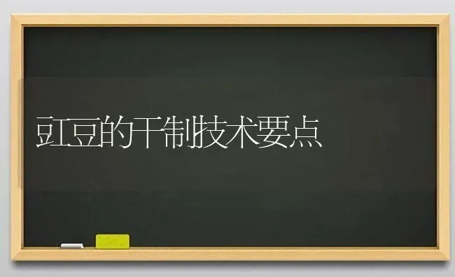 豇豆的干制技术要点 | 养殖技术大全