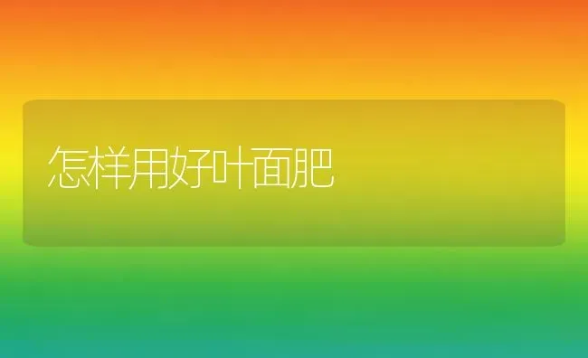 怎样用好叶面肥 | 养殖知识