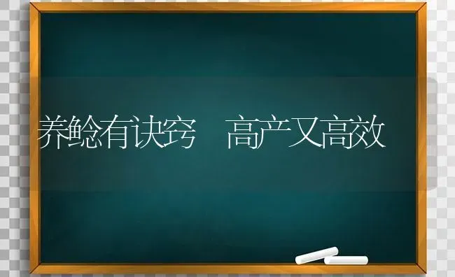 养鲶有诀窍 高产又高效 | 养殖技术大全