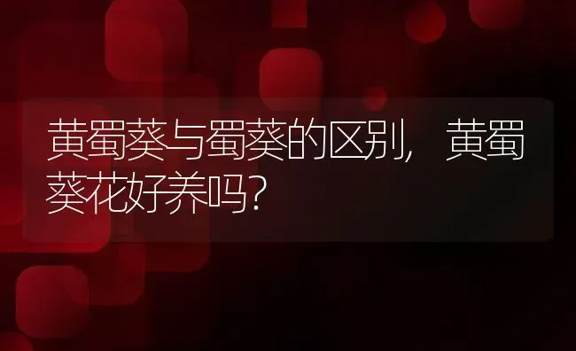 黄蜀葵与蜀葵的区别,黄蜀葵花好养吗？ | 养殖科普