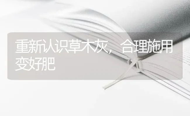 重新认识草木灰,合理施用变好肥 | 养殖技术大全