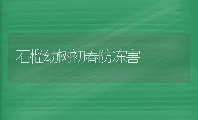 石榴幼树初春防冻害 | 养殖技术大全