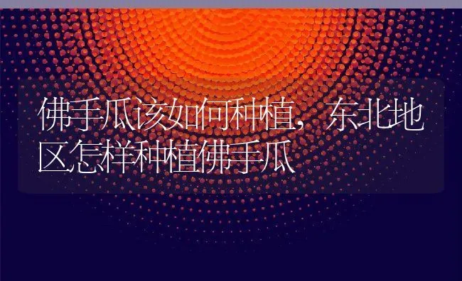 佛手瓜该如何种植,东北地区怎样种植佛手瓜 | 养殖学堂