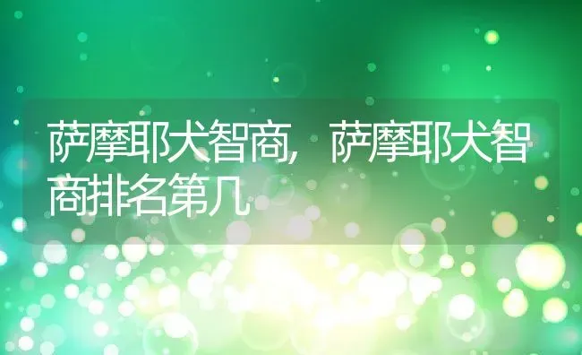 萨摩耶犬智商,萨摩耶犬智商排名第几 | 养殖资料