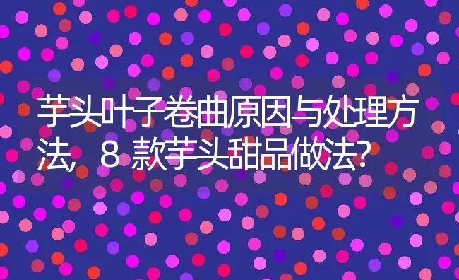 芋头叶子卷曲原因与处理方法,8款芋头甜品做法？ | 养殖科普