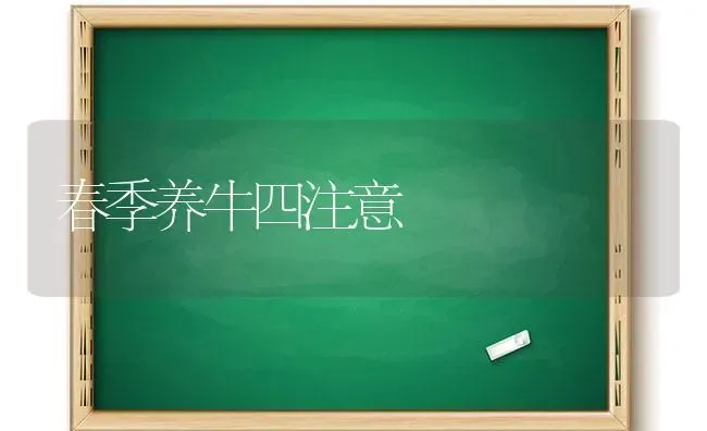 春季养牛四注意 | 养殖技术大全