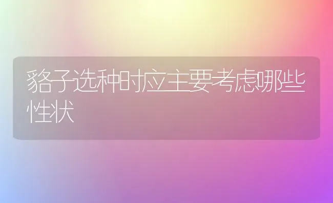 貉子选种时应主要考虑哪些性状 | 养殖知识