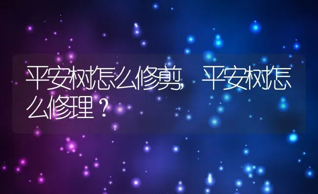 平安树怎么修剪,平安树怎么修理？ | 养殖科普