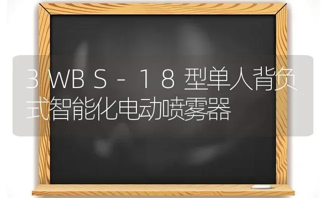 3WBS-18型单人背负式智能化电动喷雾器 | 养殖知识