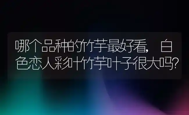 攀枝花是什么花,攀枝花的花有毒吗？ | 养殖科普