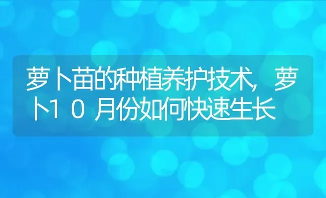 萝卜苗的种植养护技术,萝卜10月份如何快速生长 | 养殖学堂