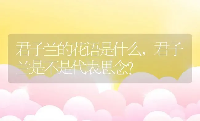 君子兰的花语是什么,君子兰是不是代表思念？ | 养殖科普