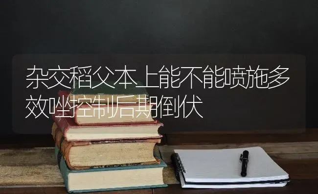 杂交稻父本上能不能喷施多效唑控制后期倒伏 | 养殖知识