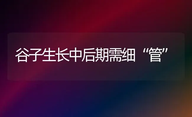 谷子生长中后期需细“管” | 养殖技术大全