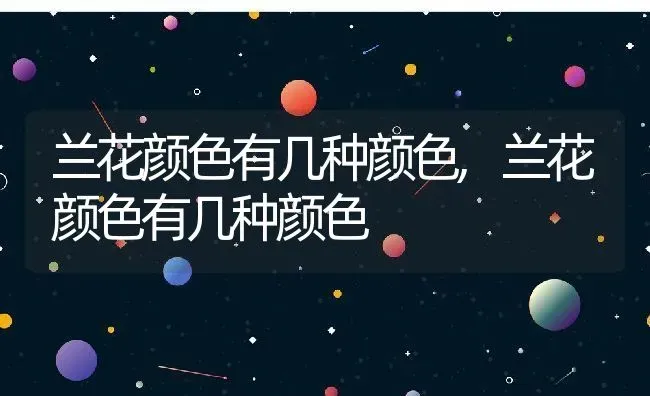 兰花颜色有几种颜色,兰花颜色有几种颜色 | 养殖科普