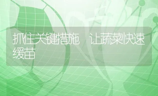 拱棚防雨好办法 | 养殖知识