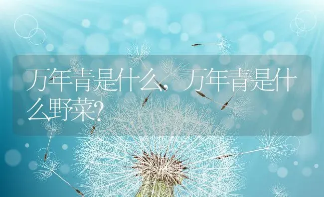 万年青是什么,万年青是什么野菜？ | 养殖科普