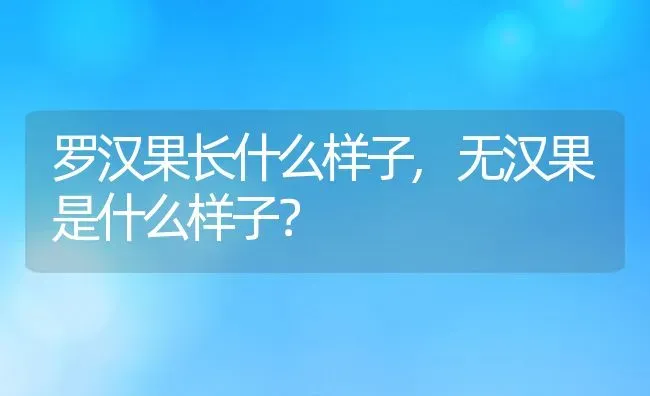 罗汉果长什么样子,无汉果是什么样子？ | 养殖科普