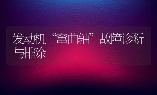 发动机“窜曲轴”故障诊断与排除 | 养殖技术大全