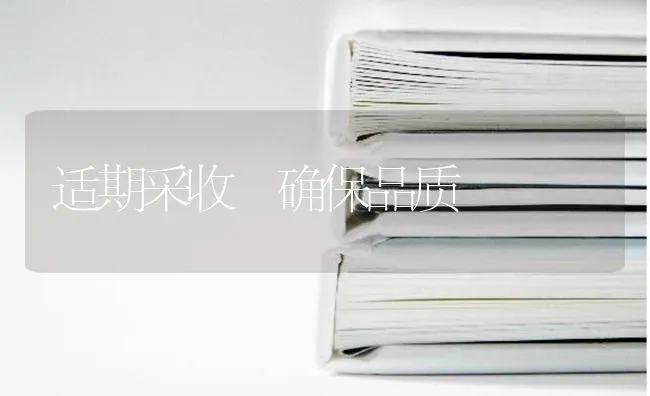 适期采收 确保品质 | 养殖技术大全