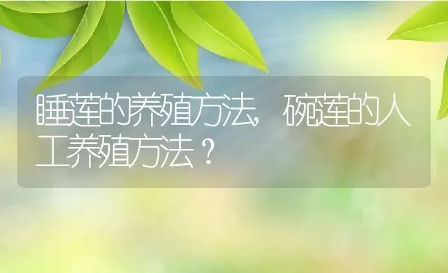 睡莲的养殖方法,碗莲的人工养殖方法？ | 养殖科普