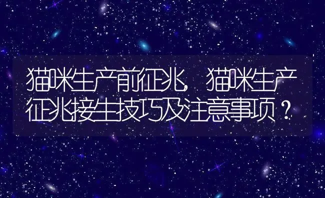 猫咪生产前征兆,猫咪生产征兆接生技巧及注意事项？ | 养殖学堂