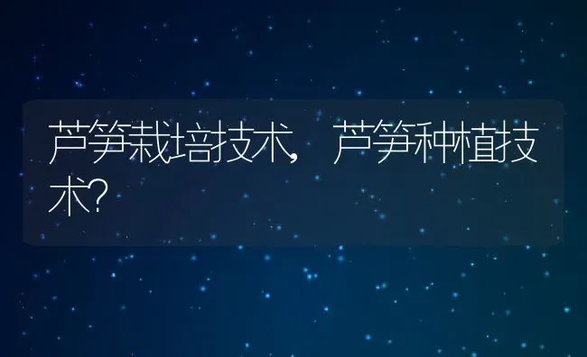 芦笋栽培技术,芦笋种植技术？ | 养殖科普
