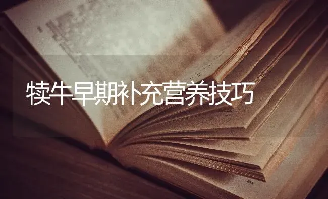 犊牛早期补充营养技巧 | 养殖技术大全