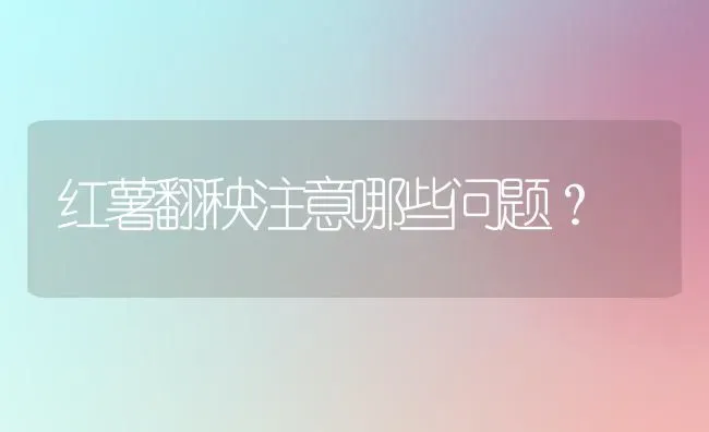 红薯翻秧注意哪些问题? | 养殖知识