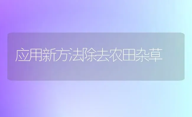 应用新方法除去农田杂草 | 养殖技术大全