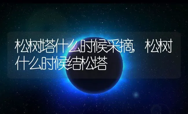 矮牵牛的生长习性特点和生长环境条件,江浙地区什么时候可以播种矮牵牛 | 养殖学堂