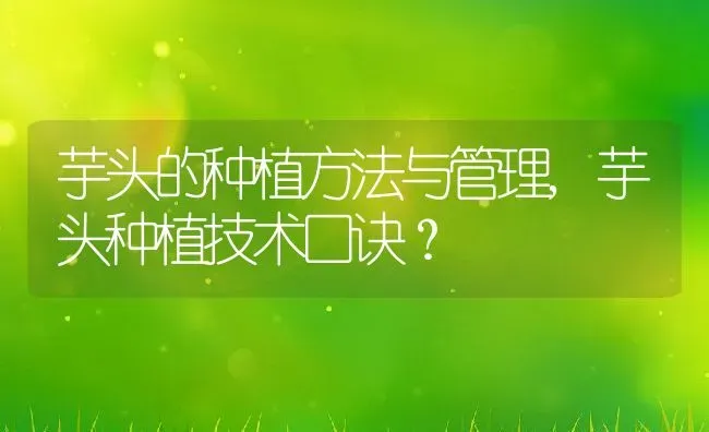 栀子花花语大全,栀子花花语？ | 养殖科普