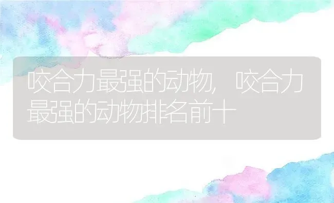 咬合力最强的动物,咬合力最强的动物排名前十 | 养殖科普