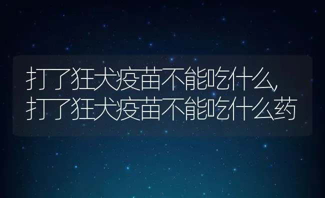 打了狂犬疫苗不能吃什么,打了狂犬疫苗不能吃什么药 | 养殖科普